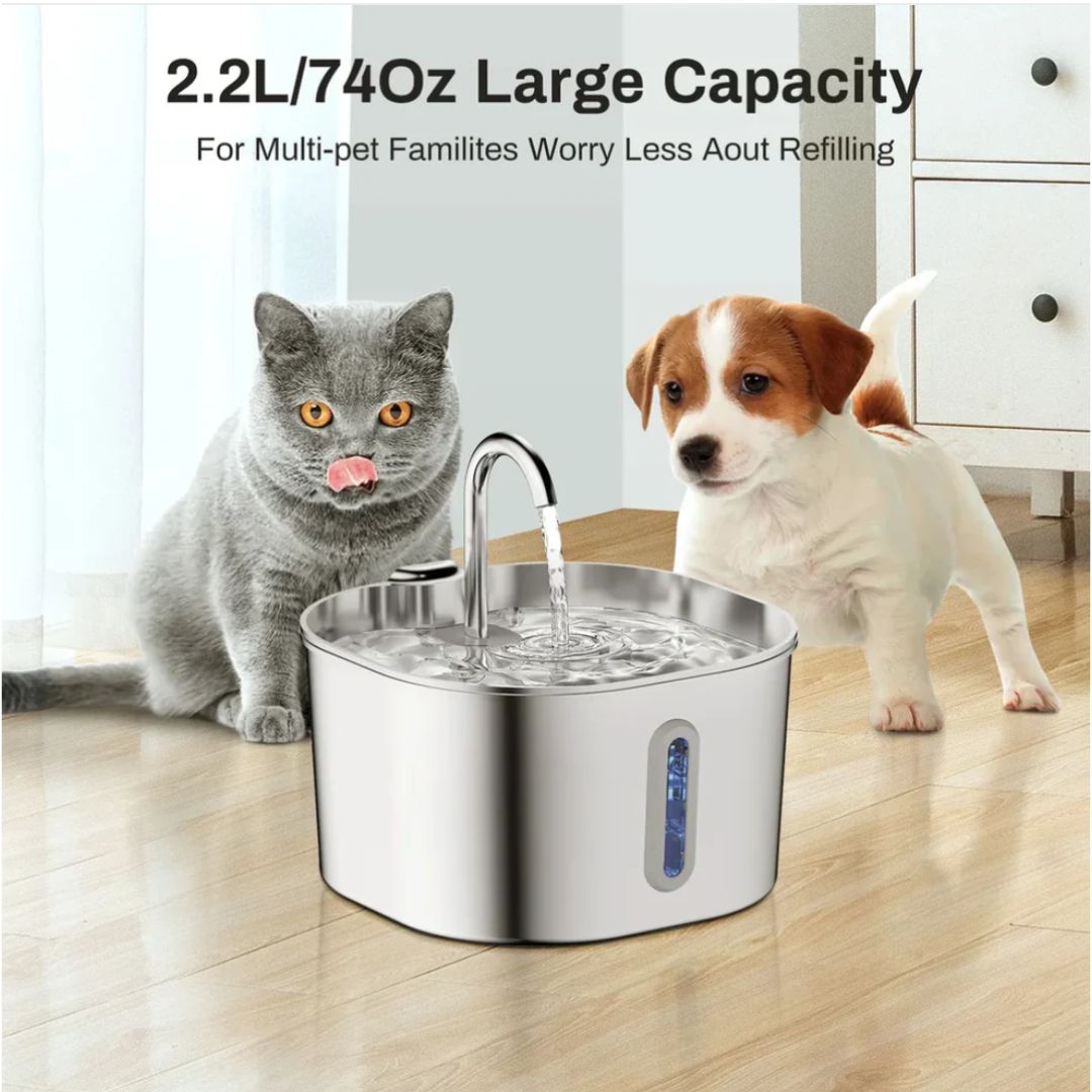 Protect your cat from dehydration and urinary emergencies with Llovly