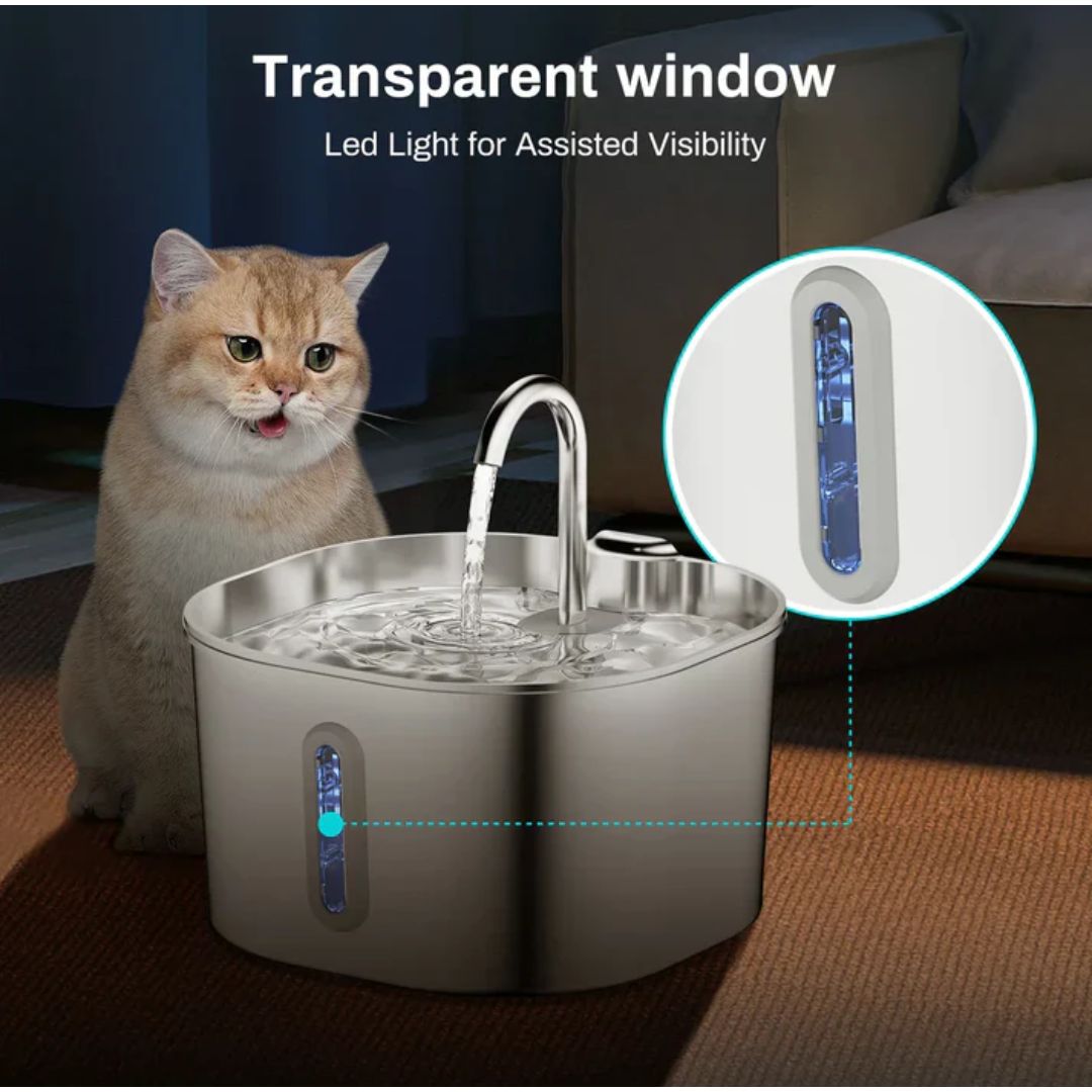 Protect your cat from dehydration and urinary emergencies with Llovly