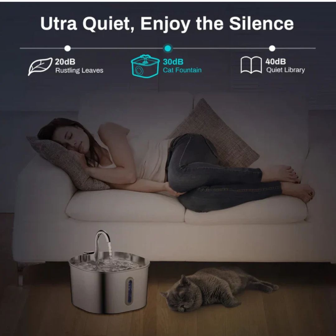 Protect your cat from dehydration and urinary emergencies with Llovly