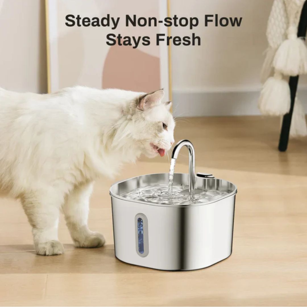 Protect your cat from dehydration and urinary emergencies with Llovly